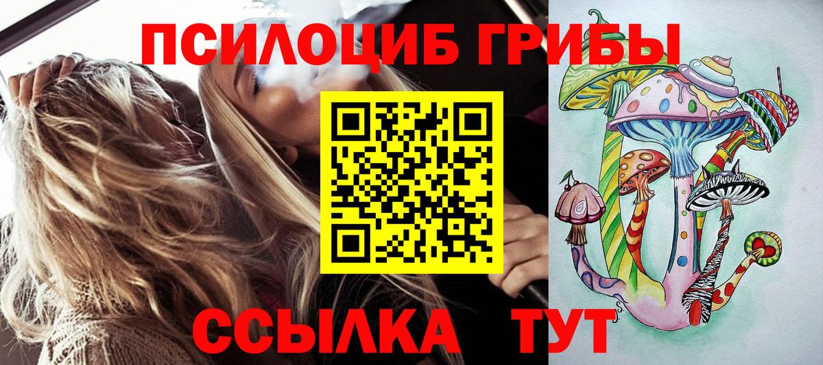 Псилоцибиновые грибы мицелий Кудымкар