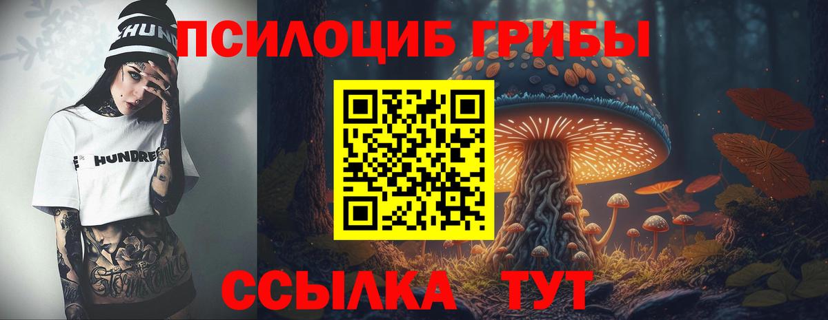 Кудымкар  Галлюциногенные грибы прущие грибы  дарнет шоп  Вход с VPN 
